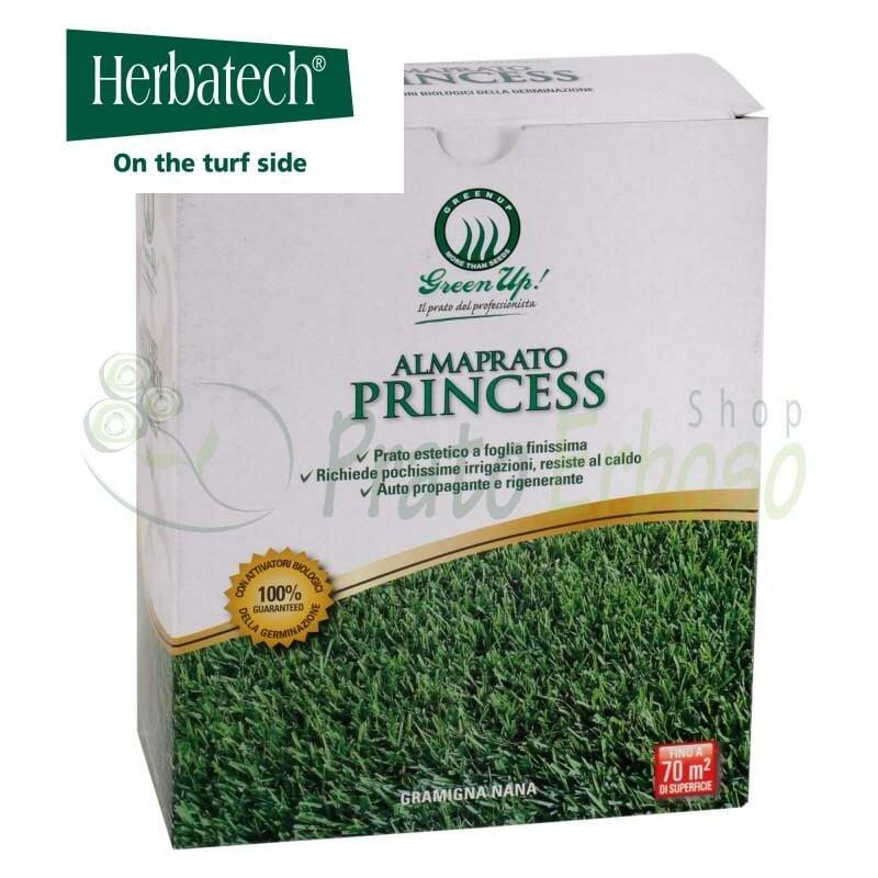 Herbatech Almaprato Princess - Sementi per prato di gramigna nana da 500 Gr
