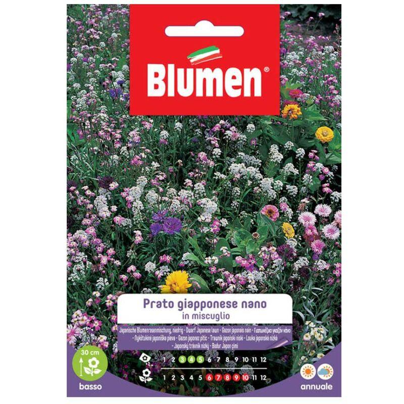 Semi prato giapponese nano mix Blumen