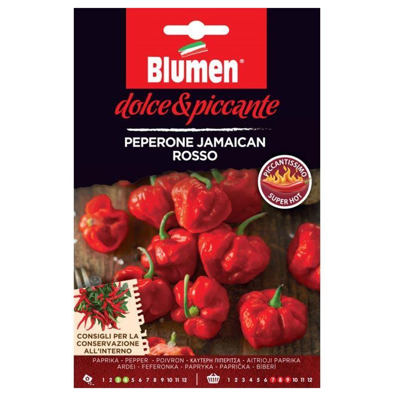 peperone jamaican rosso - Blumen
