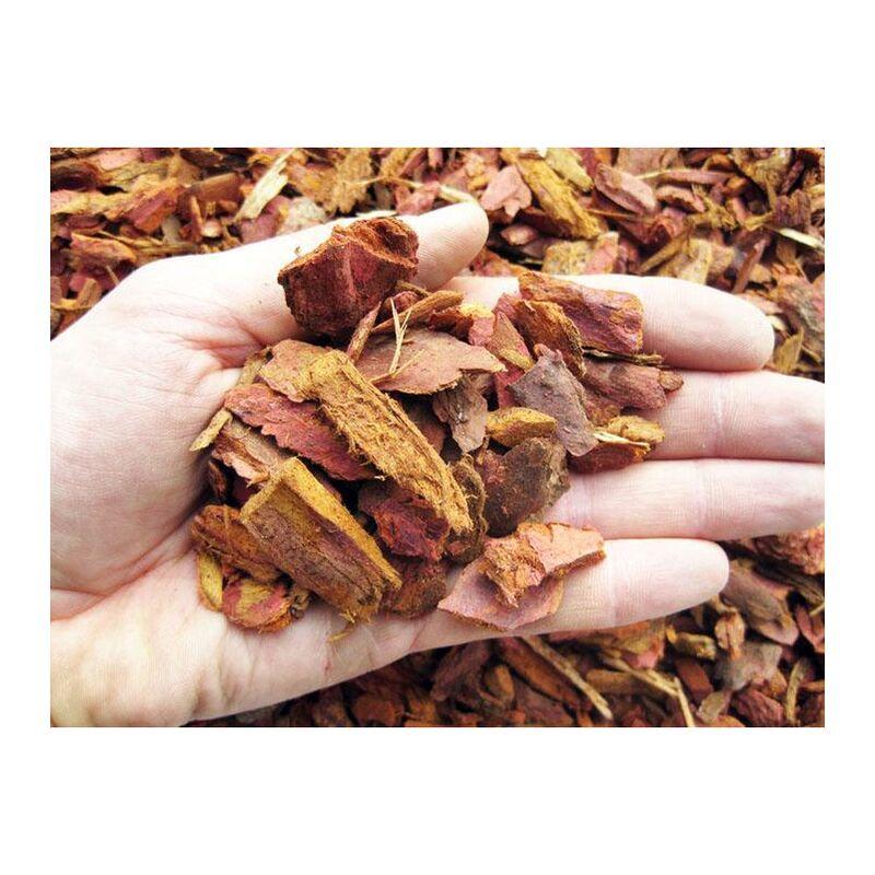 Corteccia di pino rossa portoghese 10/20 mm (1 kg - c.ca 5 lt) Corteccia di pino rossa portoghese 10/20 mm (1 kg - c.ca 5 lt)