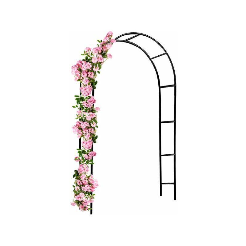 Arco per rampicanti Archi per fiori metallo obelisco piante decorazine giardino M 2 - 240 cm (de) - Deuba