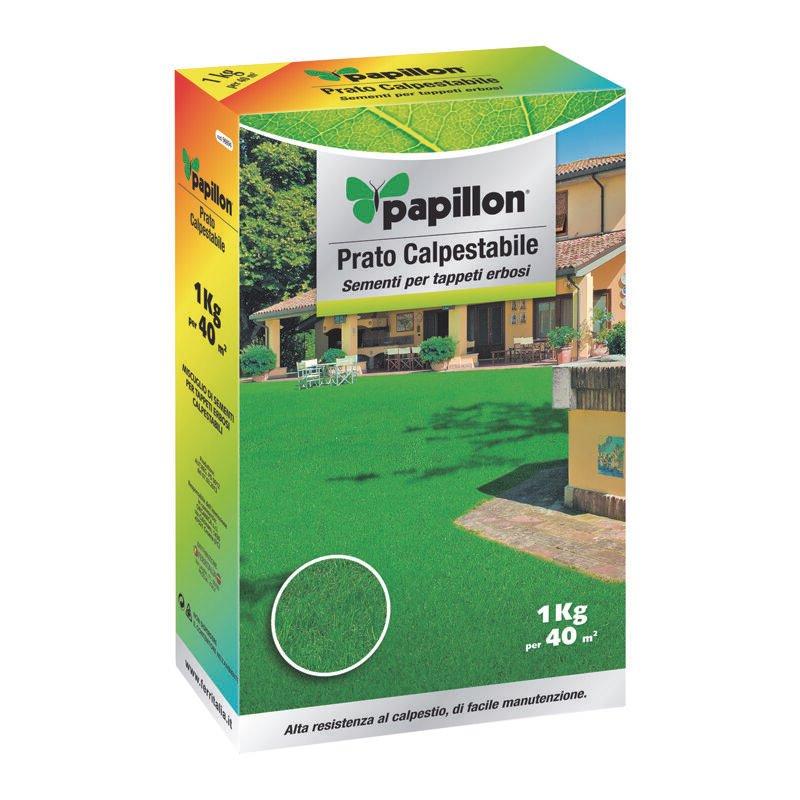 Prato Calpestabile In Semi Conf. 1kg Fino A 40 Mq Tappeto Erboso - Papillon