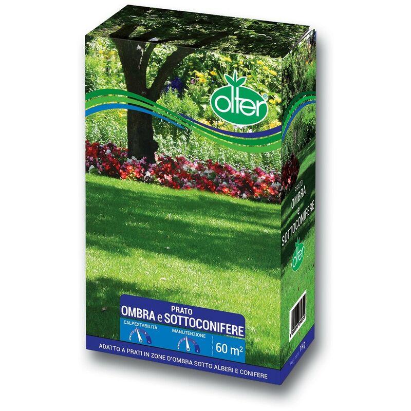 Prato Ombra e Sottoconifere 500 gr Olter