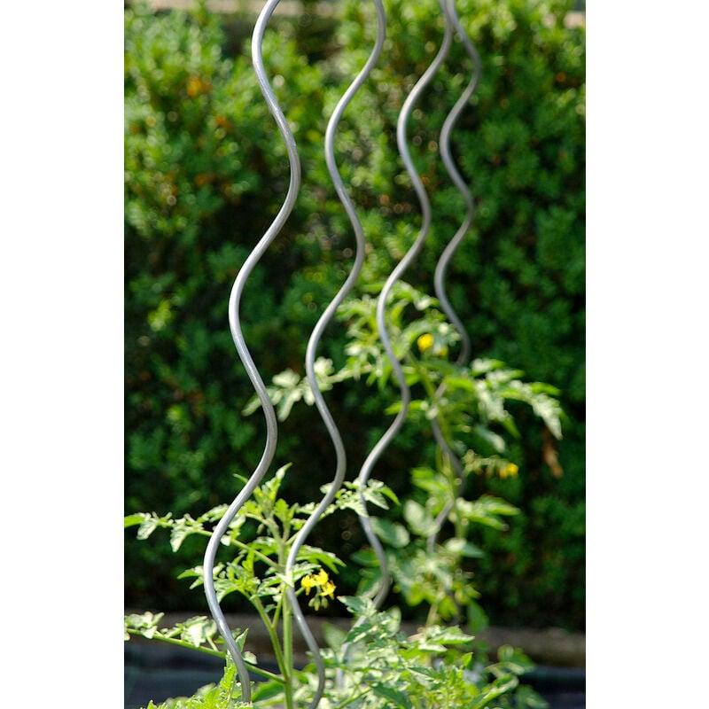 Set 10 Sostegni Tutori a Spirale per Piante Pomodori 200 cm in Acciaio Agrati Set 10 Sostegni Tutori a Spirale per Piante Pomodori 200 cm in Acciaio Agrati