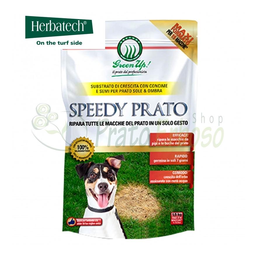 Speedy Prato - Sementi per la rigenerazione del prato da 1,5 Kg