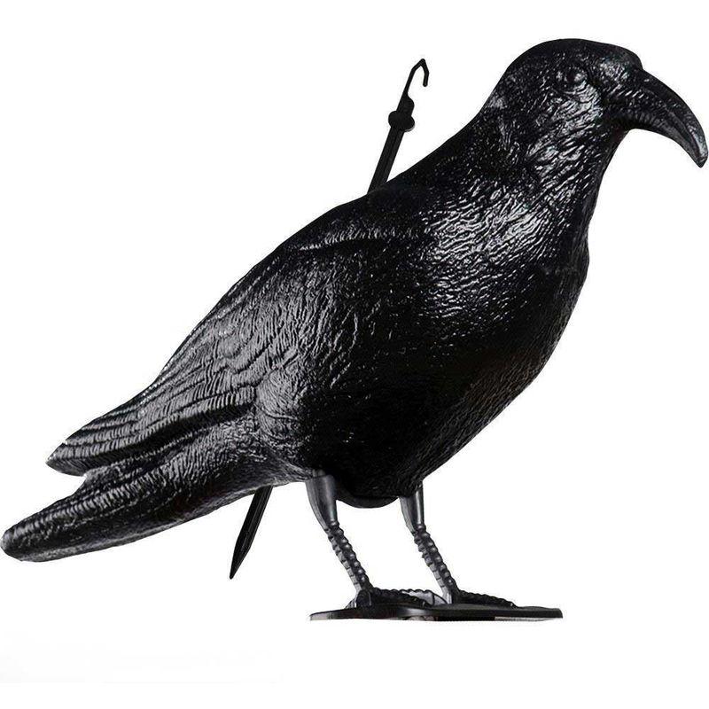 Peragashop - STATUA SPAVENTAPASSERI CORVO 35CM STATUA DISSUASORE SPAVENTA PASSERI PICCIONI COLOMBI