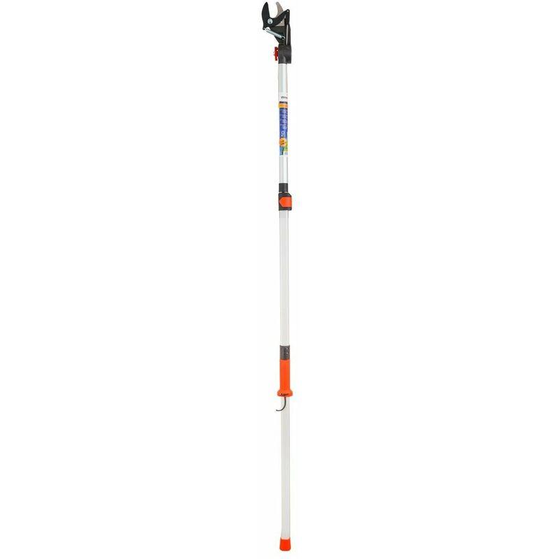 Forbice asta lunga telescopica 170 280 cm - Stocker Forbice asta lunga telescopica 170 280 cm - Stocker