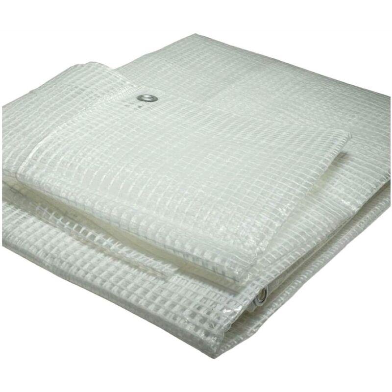 Telone Telo Occhiellato Retinato 5X6 mt in pvc Trasparente Multiuso