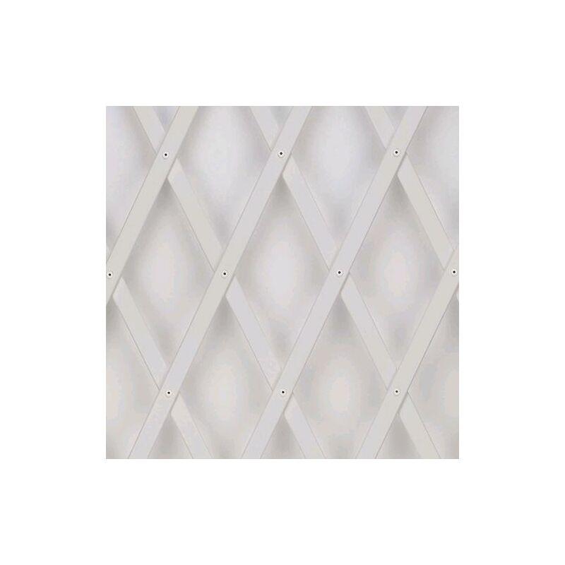 Traliccio Grigliato Estensibile in PVC per Piante rampicanti Balcone Giardino terrazza 2x1 mt Bianco Traliccio Grigliato Estensibile in PVC per Piante rampicanti Balcone Giardino terrazza 2x1 mt Bianco