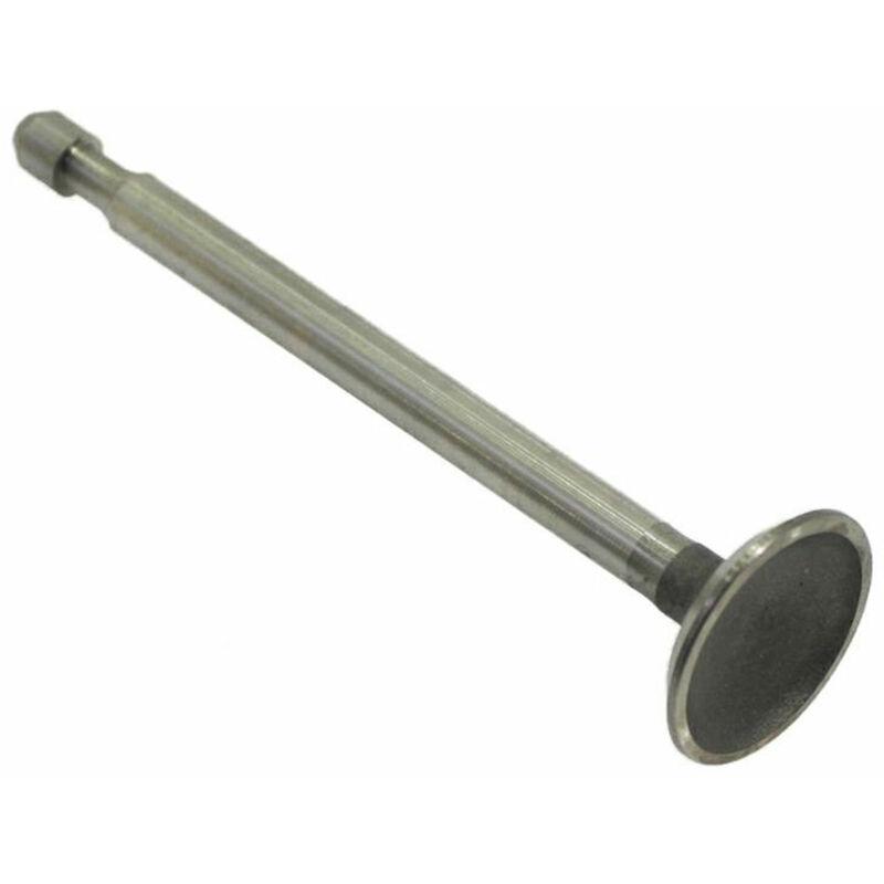 Rag - Valvola Asp. Ex 261462(360219) Briggs &amp; Stratton -360219