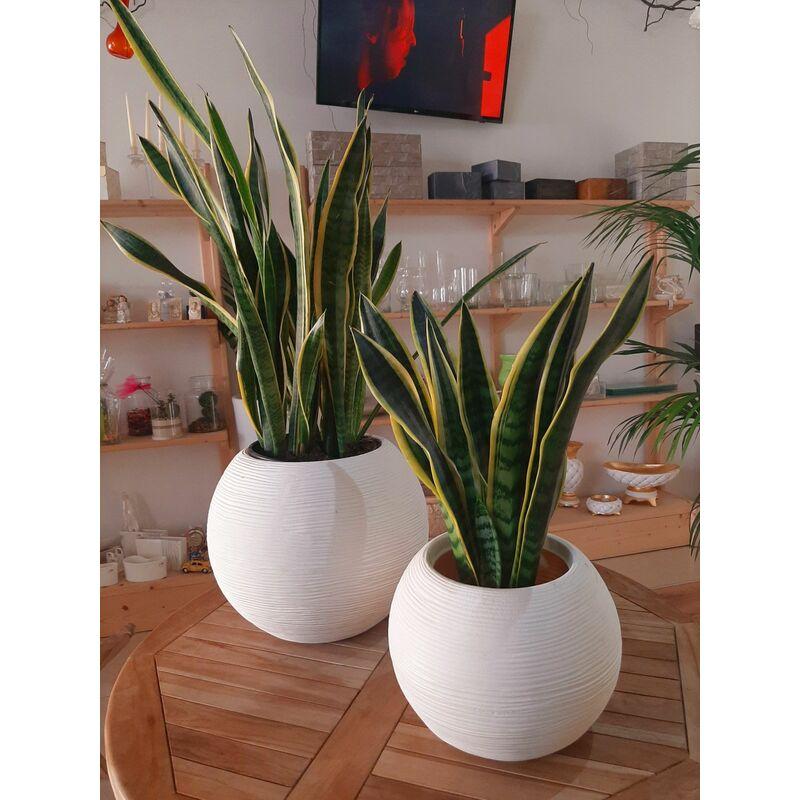 vaso Caspò Sfera Rigata Shabby Vasar in resina diametro 40cm bianco perla vaso Caspò Sfera Rigata Shabby Vasar in resina diametro 40cm bianco perla