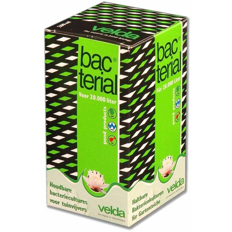 Velda Equilibratore Batterico per Laghetti 200 ml