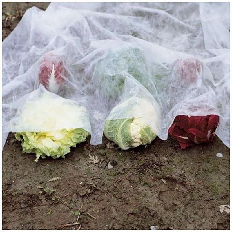 Velo Di Protezione Per Orataggi Frutta 1,6x2m In Tnt Bianco - Rama
