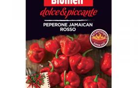 peperone jamaican rosso - Blumen