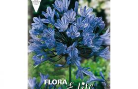 Peragashop - BULBI PRIMAVERILI AGAPANTHUS BLUE CONFEZIONE DA 1 BULBO BULBS BULBES