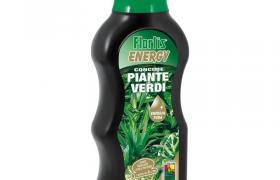 Concime Energy Piante Verdi Flortis 500 ml