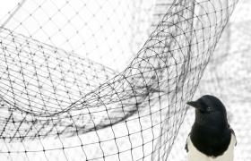 Rete Antiuccelli Anti Uccelli Volatili Copertura Orto Ortaggi Piante Frutti 2x10 mt STI