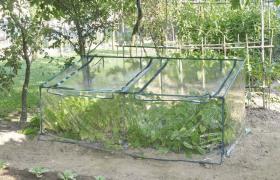 Serra Da Giardino In Acciaio Con Telo Primizia Verde - Rama