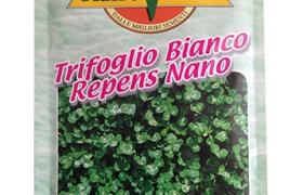 Tappeto Erboso Trifoglio nano x 100 gr - FERRI SEMENTI