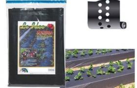 Telo Pacciamatura Nero Con Fori Mt.1,2X10