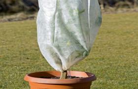 Telo Termoclima 17gr tnt antigelo piante orto albero tessuto 2x10 mt bianco STI