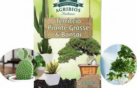 Terriccio per piante grasse e bonsai - da 10 litri