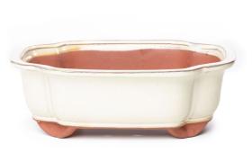 Vaso bonsai smaltato rettangolare cm. 25 Avorio - Avorio