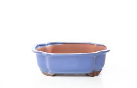 Pollice Verde - Vaso bonsai smaltato rettangolare cm. 25 Azzurro - Azzurro